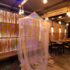 Bamboo / 26 osób / 50m2 - obrazek 3